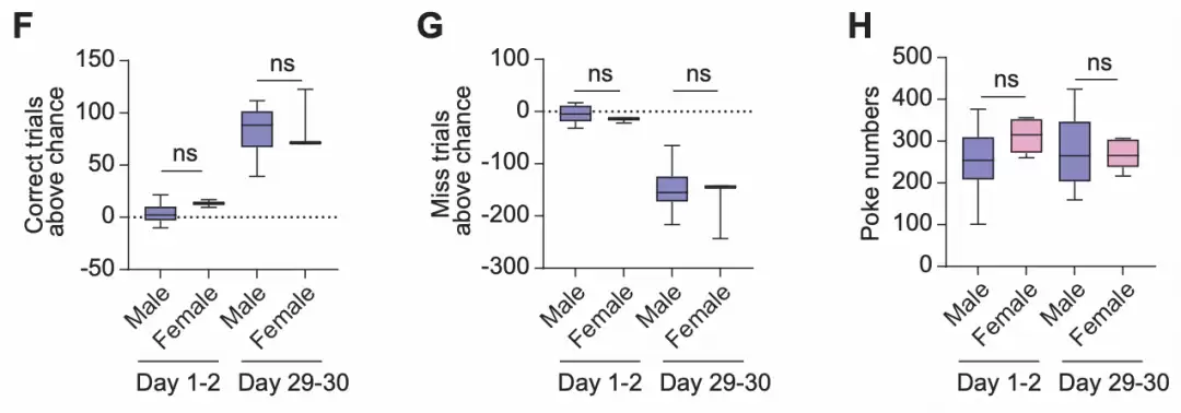 神经元反应特征