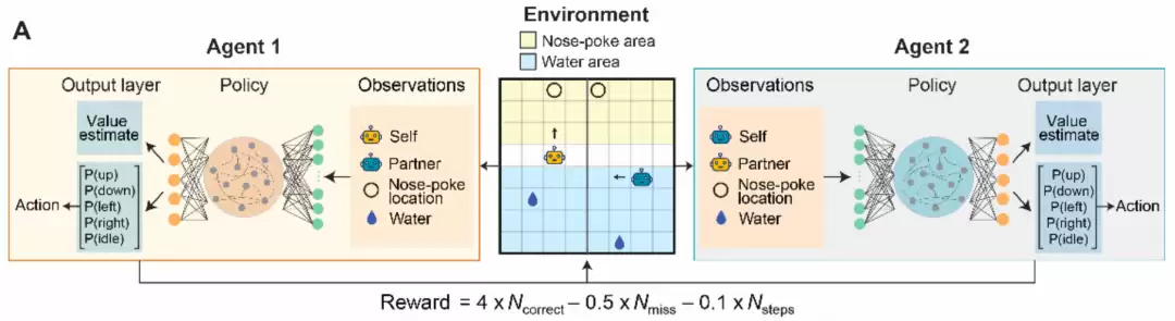 AI协作实验设置