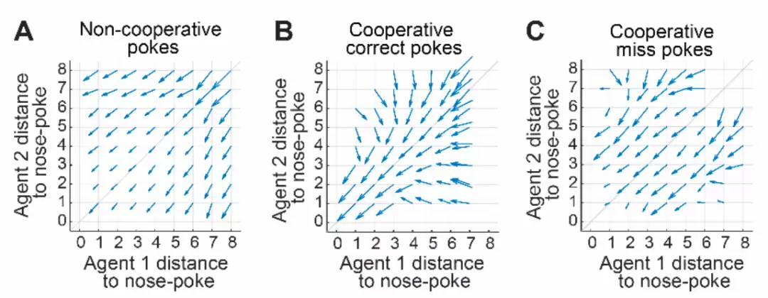 AI运动模式分析