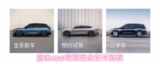 <p>蔚来APP定金退款办理指南 - 详细操作流程解析</p>