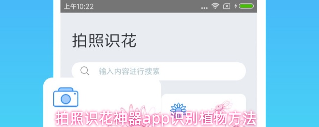 植物识别APP使用指南：3步快速识别花草种类