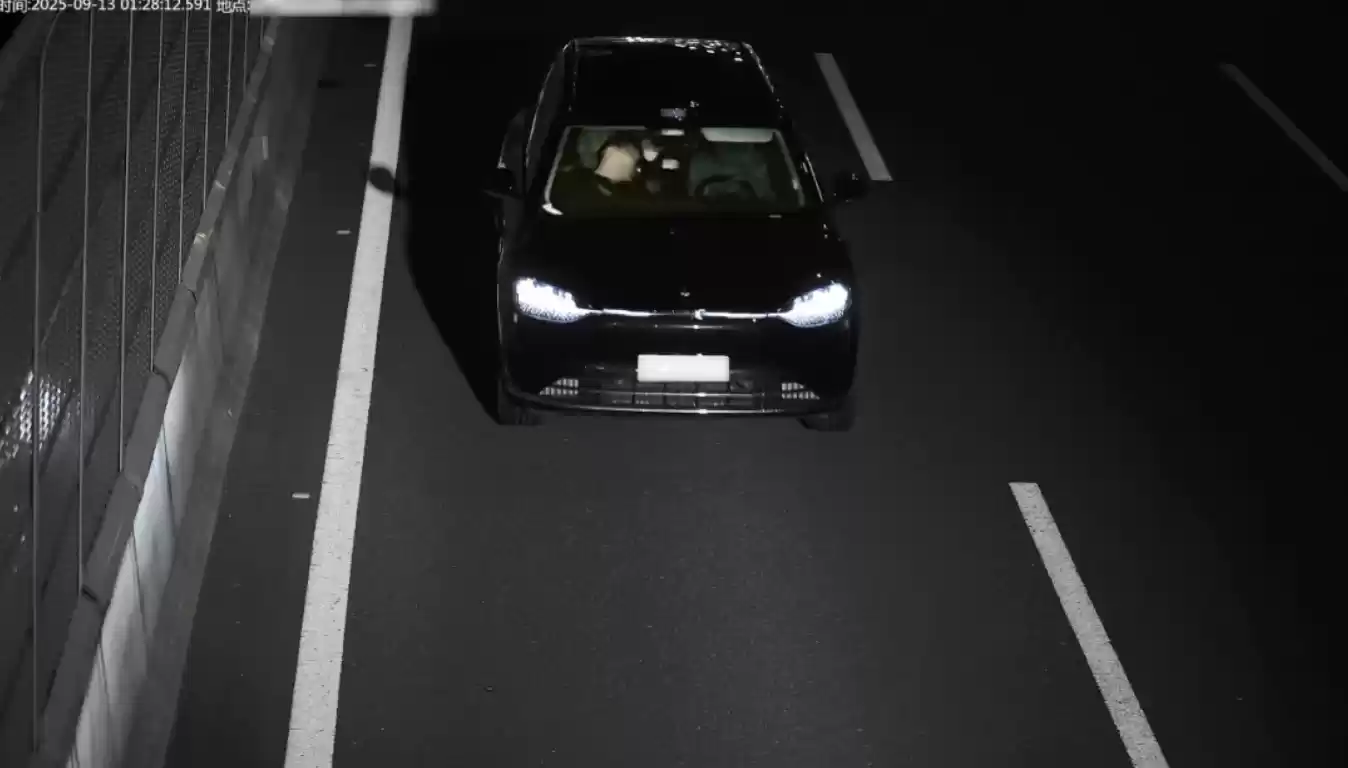 车主酒后开“辅助驾驶”坐副驾睡着：利用网购