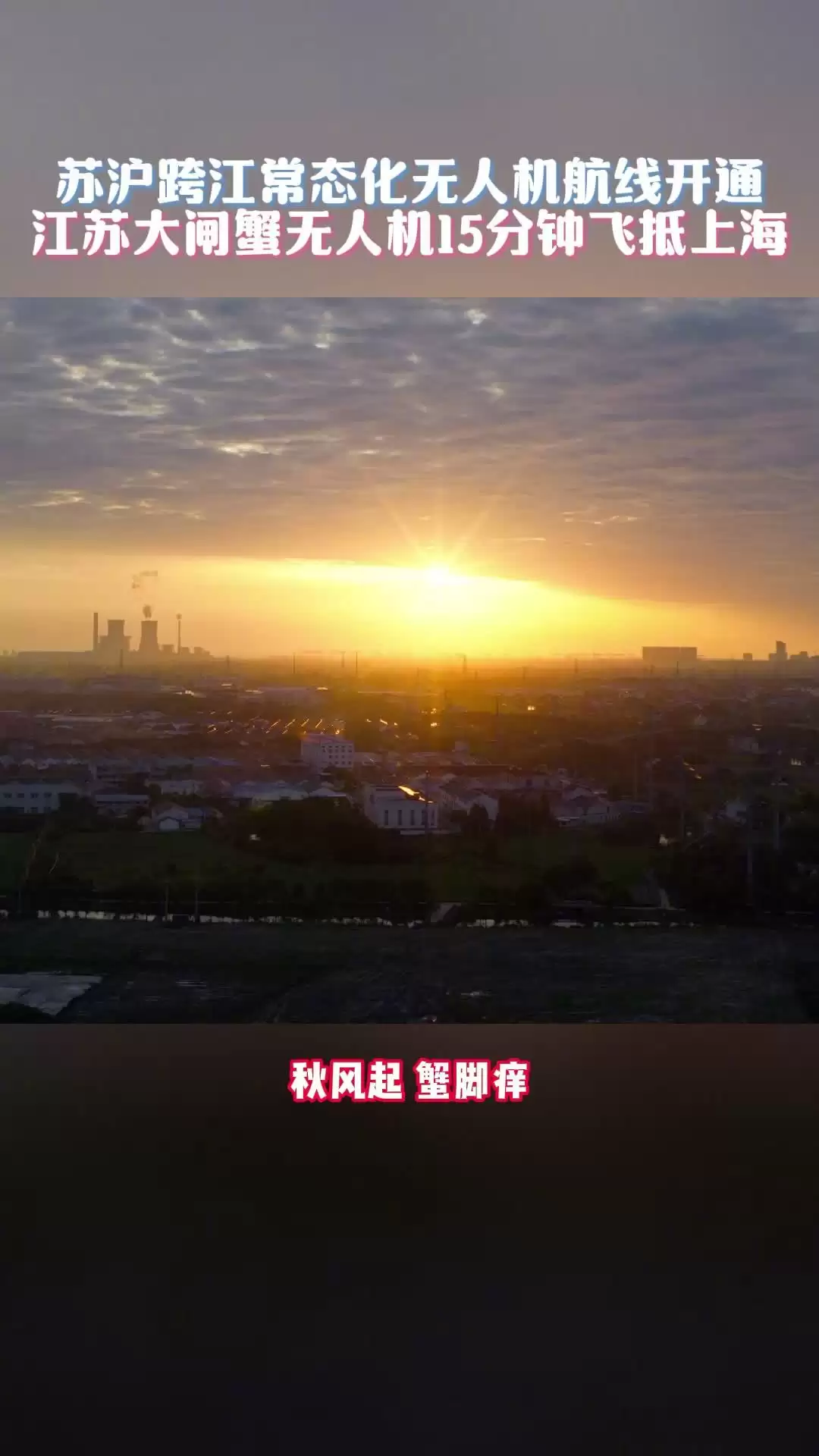 苏沪跨江常态化无人机航线开通，江苏大闸蟹无人机