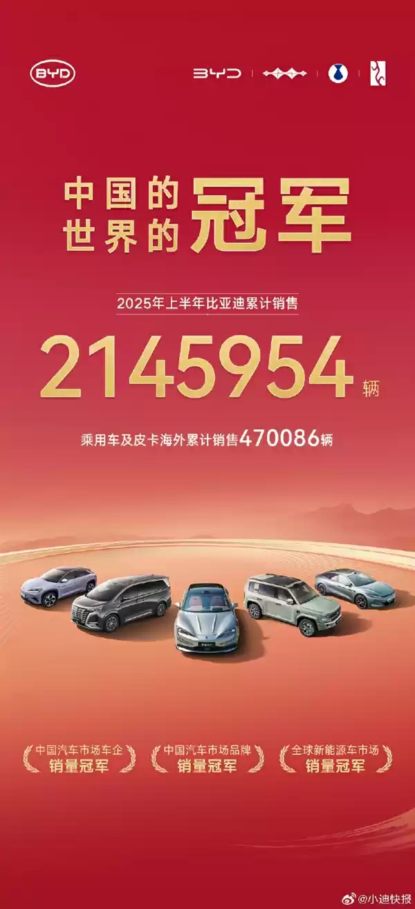 比亚迪2025年上半年销量数据展示