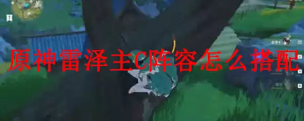 原神雷泽主C阵容搭配示范