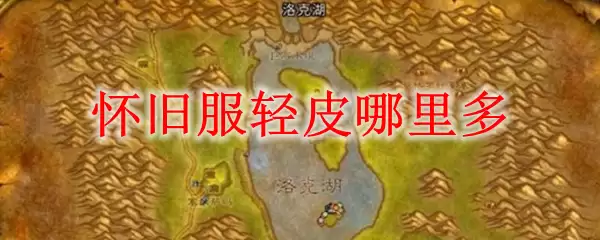 怀旧服轻皮哪里多