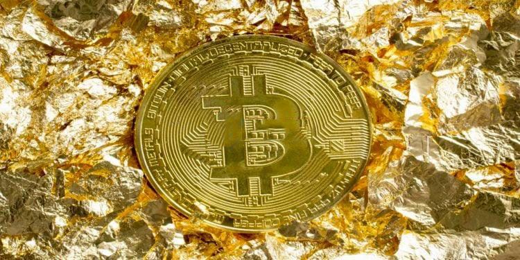 比特币闪电崩盘：快速跌宕与应对策略