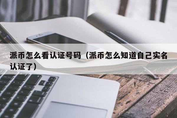 派币实名认证号码查询指南
