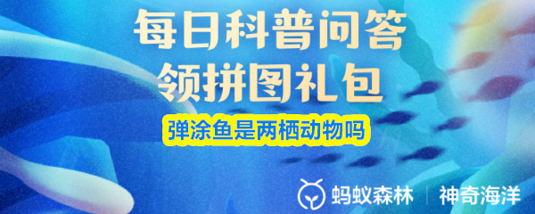 支付宝神奇海洋10.2答案：弹涂鱼是否为两栖动物