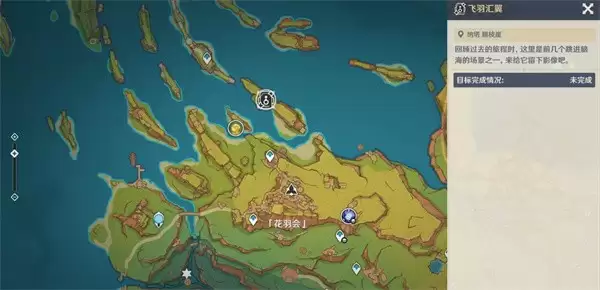 飞羽汇翼位置示意图