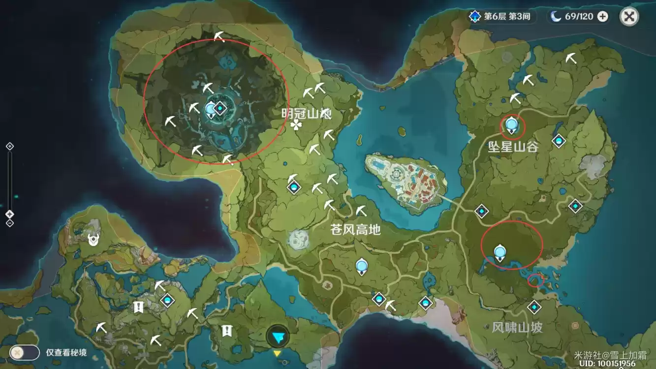 风车菊生长环境参考