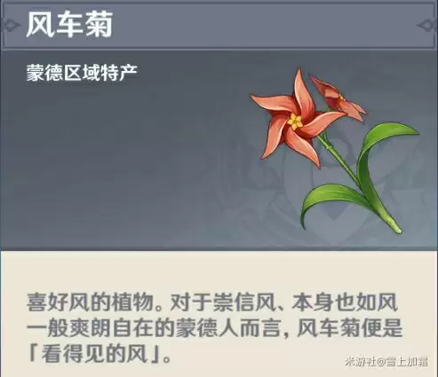 风车菊采集点实景图