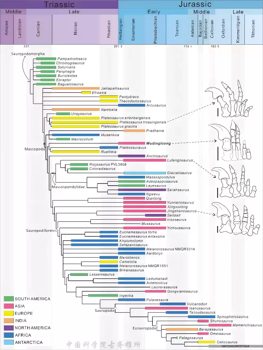 云南发现东亚最早蜥脚型类恐龙,中国科学院命名为吴氏武定龙