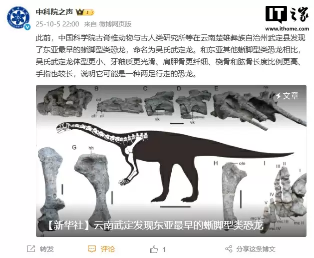 云南发现东亚最早蜥脚型类恐龙,中国科学院命名为吴氏武定龙