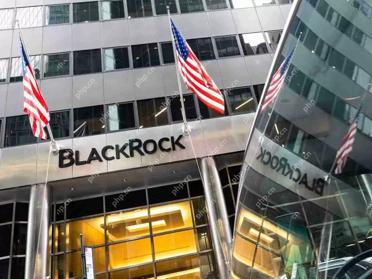 贝莱德（BlackRock）的30亿美元代币库里基金Sbuidl使用Securitize