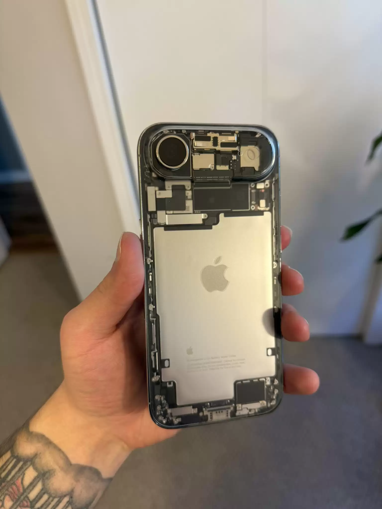 全球首款：网友改造苹果