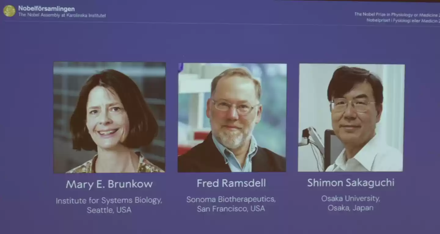 2025 诺贝尔生理学或医学奖授予三学者:揭示“外周免疫耐受”机制,奠定免疫调控理论基础