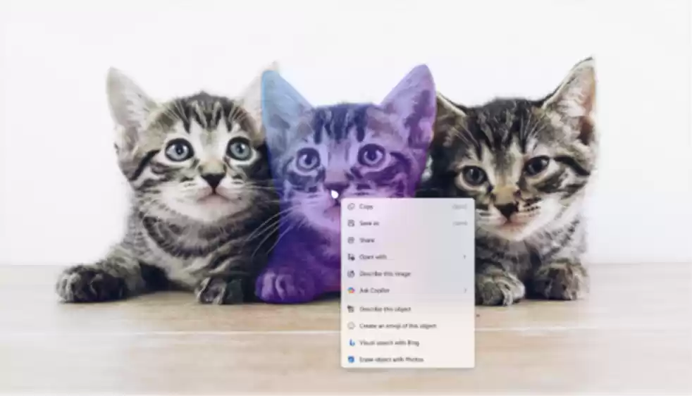 微软推 Win11 Beta / Dev 26x20.6772 预览版：新增“图片对象选择”功能，实现照片中“一键抠图”