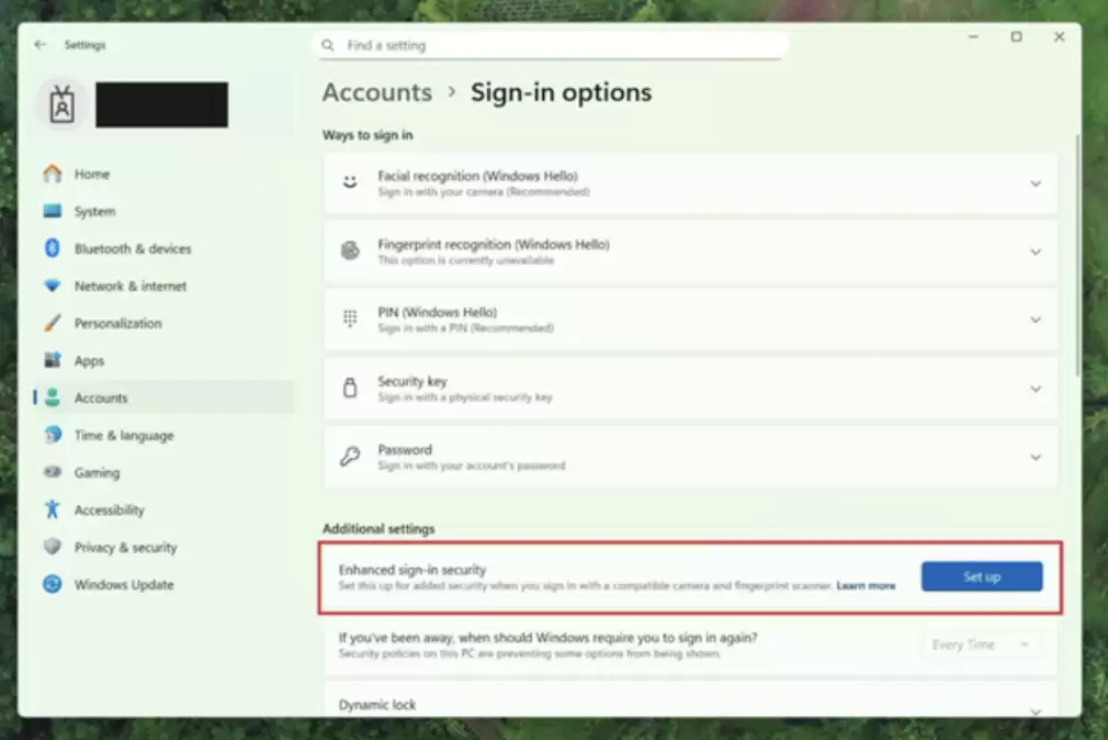 微软推 Win11 Beta / Dev 26x20.6772 预览版：新增“图片对象选择”功能，实现照片中“一键抠图”