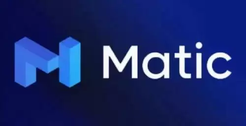 polygon币能达到100美元吗-第1张图片-区块家园