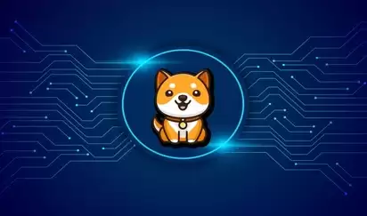 babydoge币是谁发行的？