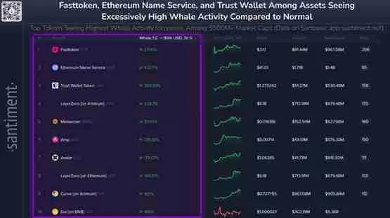 赵长鹏、神鱼喊山寨季已至!十大巨鲸活动代币名单速览