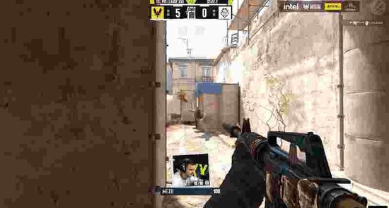EPL S22第二阶段:蜜蜂浴火重生!Vitality 2-0 G2