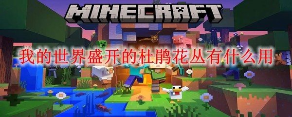我的世界盛开的杜鹃花丛有什么用