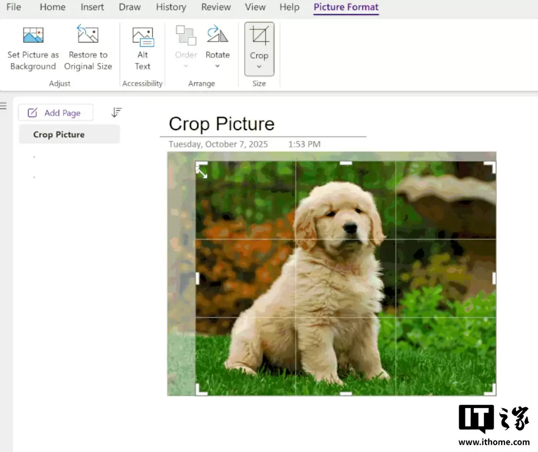 无需打开其它软件就能裁图,微软
