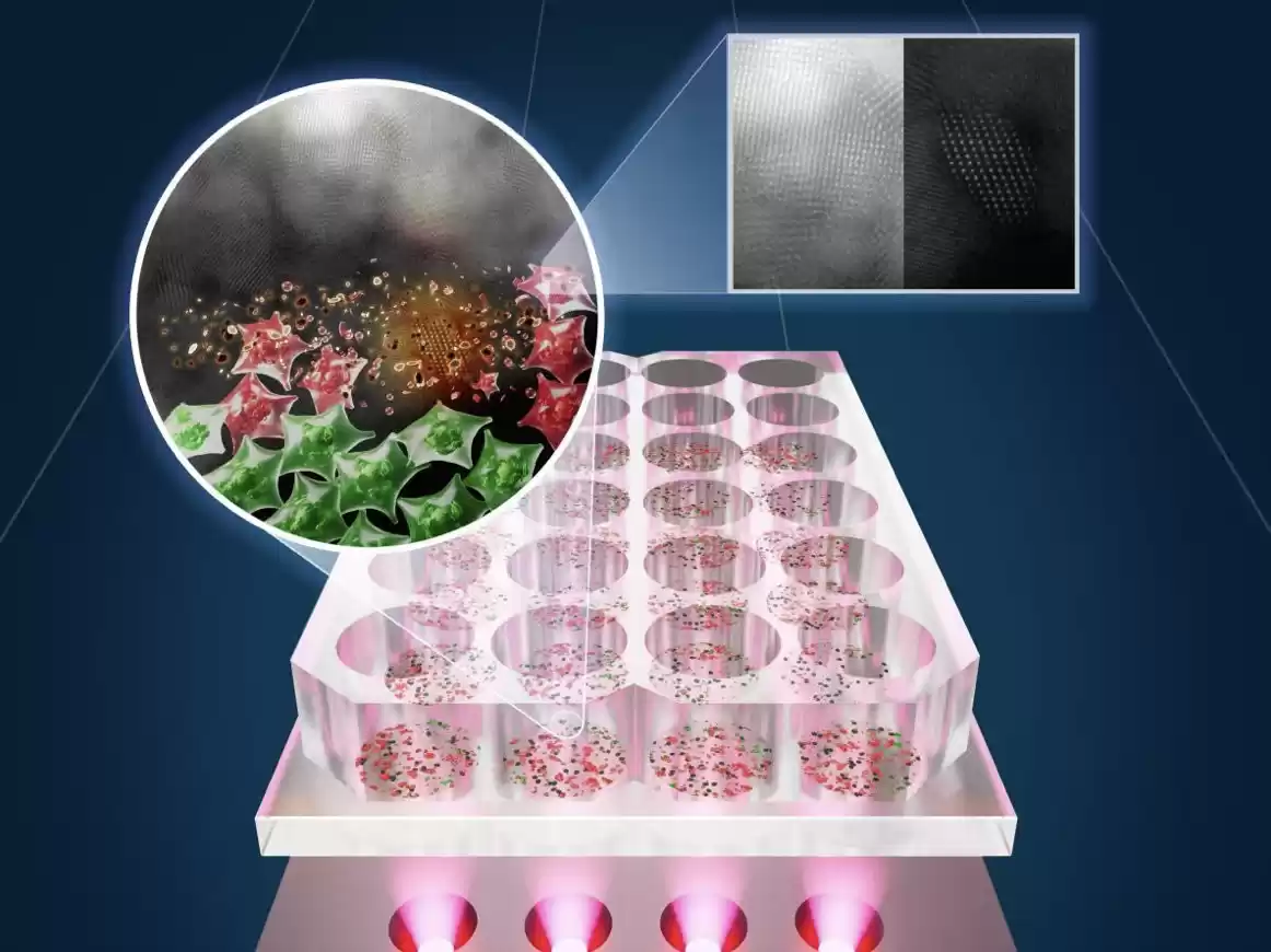 美葡研究团队研发新型光照癌症疗法，利用近红外光热疗法原理