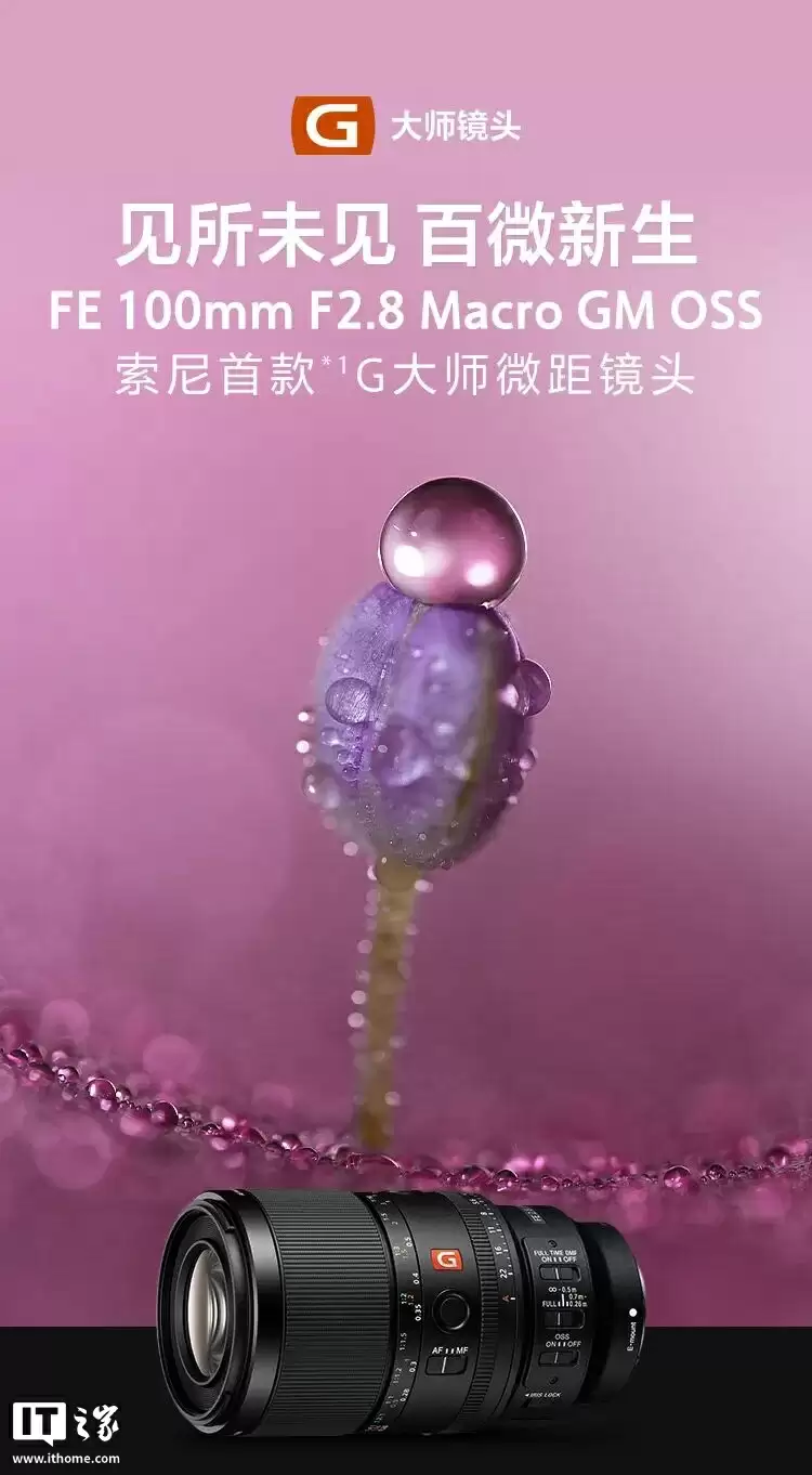 镜头结构示意图