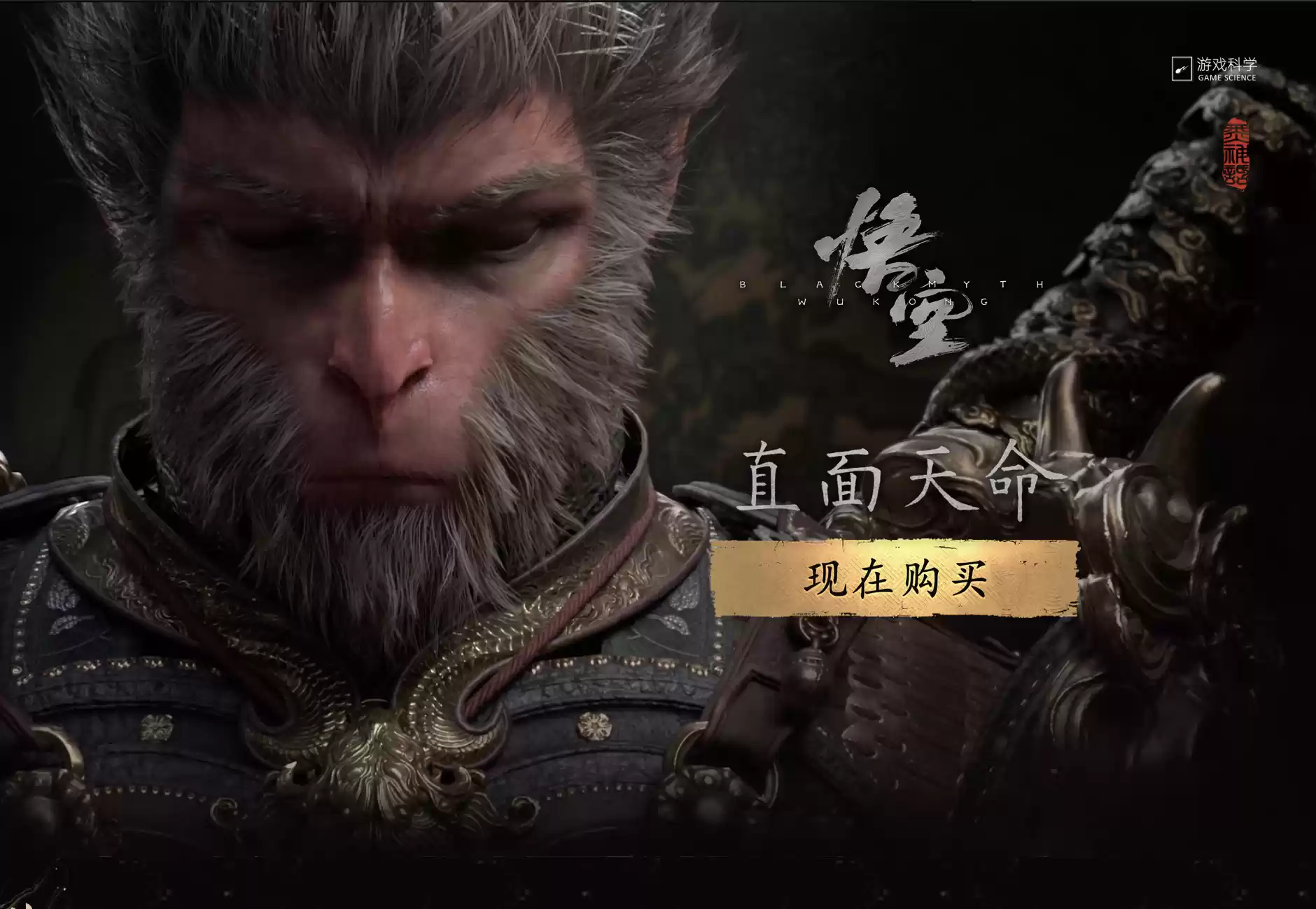 \ WechatIMG1311.webp