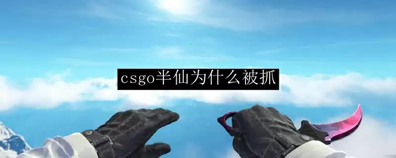 csgo半仙为什么被抓