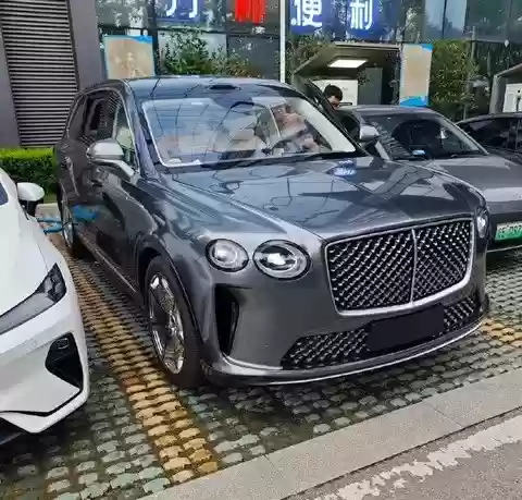 神秘高端电车现身街头无品牌标识