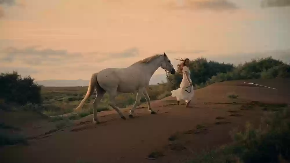 13999元起!尼康ZR全画幅电影摄影机正式开售