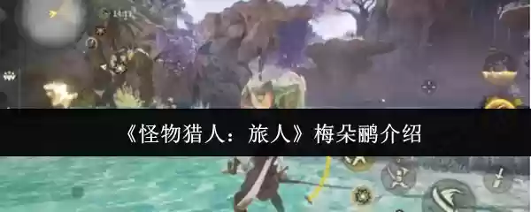 《怪物猎人：旅人》梅朵鹬介绍