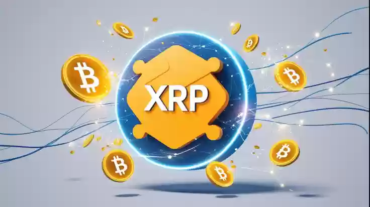 加密市场趋势洞察：比特币、XRP、以太坊是持有还是退出？ - 菜鸟下载