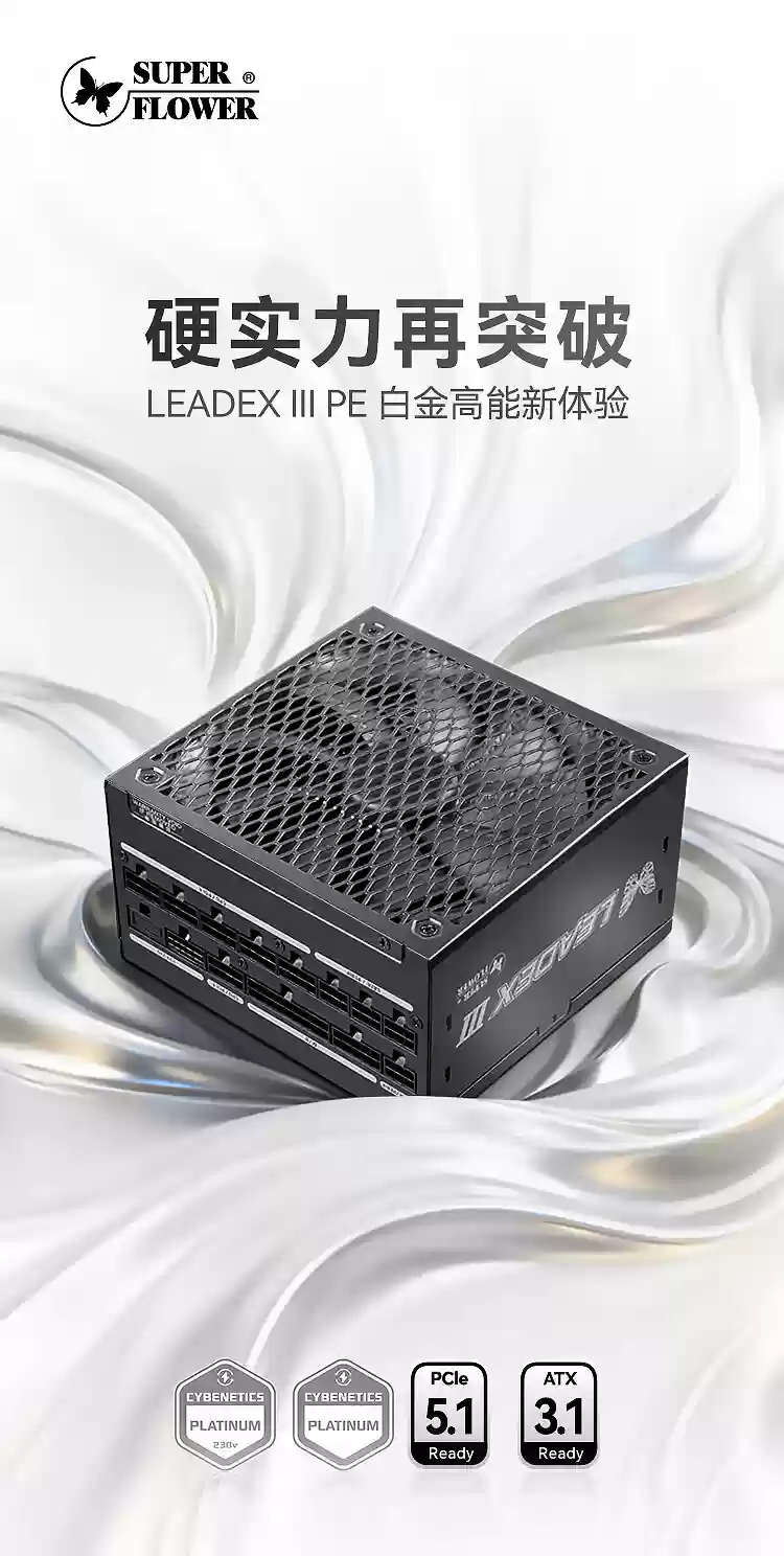 振华推出 LEADEX III PE 电源:白金效率 150mm 长 ATX,最高 1300W