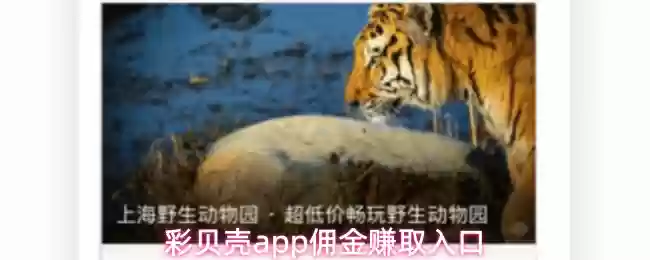 彩贝壳app佣金赚取入口