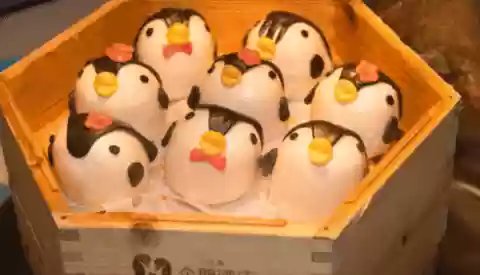 长隆旅游app会员积分玩法用途