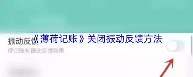 《薄荷记账》关闭振动反馈方法