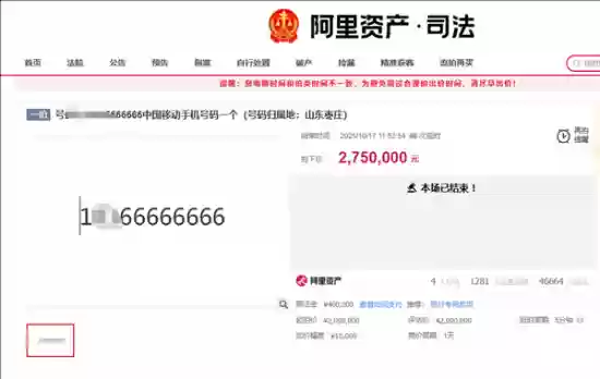 166666666手机号司法拍卖拍出275万元高价