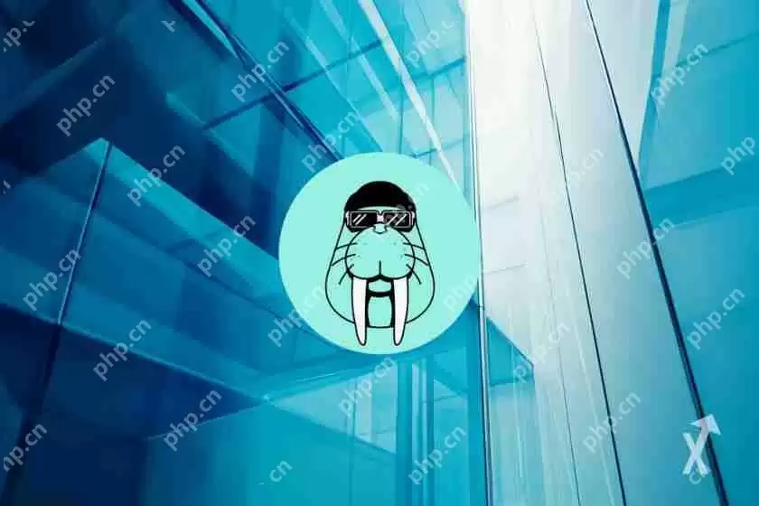 有希望的山寨币的兴起