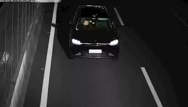 男子醉酒使用智驾开车睡觉获刑 法官解读：“智能驾驶”不影响酒驾定罪