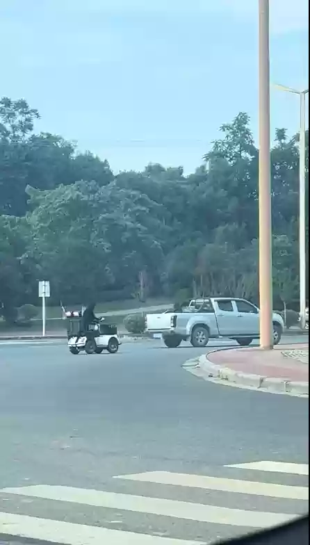 拉布拉多犬开车上路遭质疑 狗主人 “有争议我面对” 交警：不允许狗开车上路