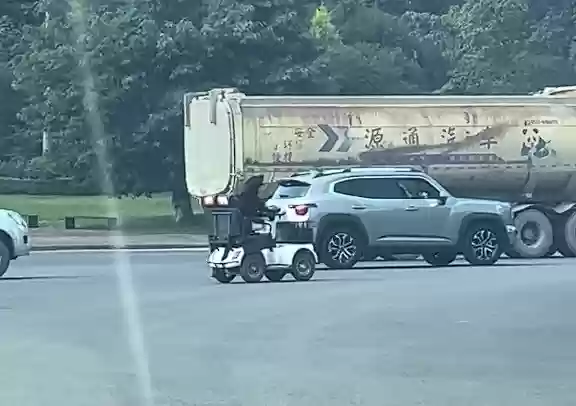 网友拍到一拉布拉多开电动车上路 狗主人:练习仅一个月