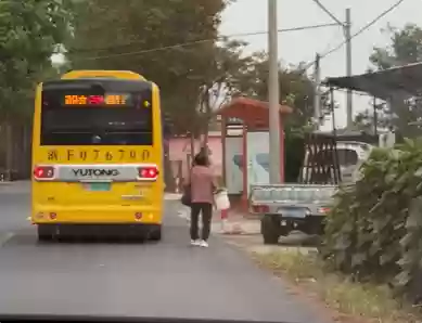 浙江嘉兴公交被网友点赞:司机无声守候 全程压速等待老人