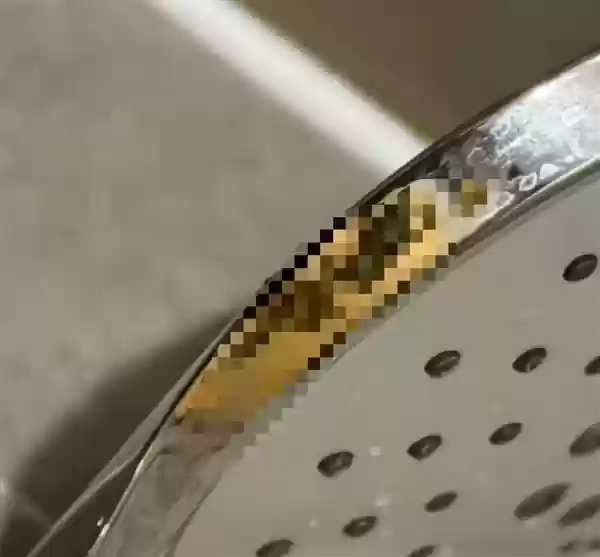 全季酒店花洒上出现粪便 客房经理：无法换房 清洗下继续住