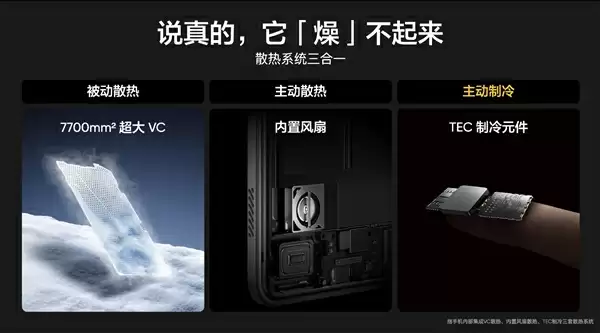 \ S943796cc-ee26-46db-8808-457029005f45.webp