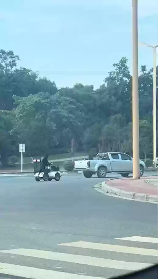 狗开车引热议 主人回应训练初衷